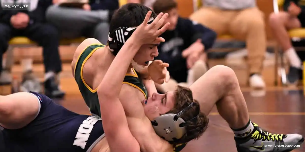 行业领先的理由